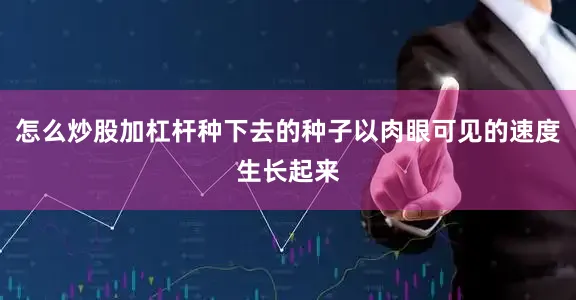 怎么炒股加杠杆种下去的种子以肉眼可见的速度生长起来