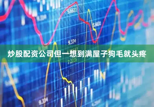 炒股配资公司但一想到满屋子狗毛就头疼
