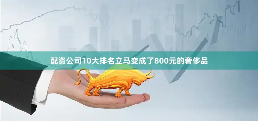 配资公司10大排名立马变成了800元的奢侈品