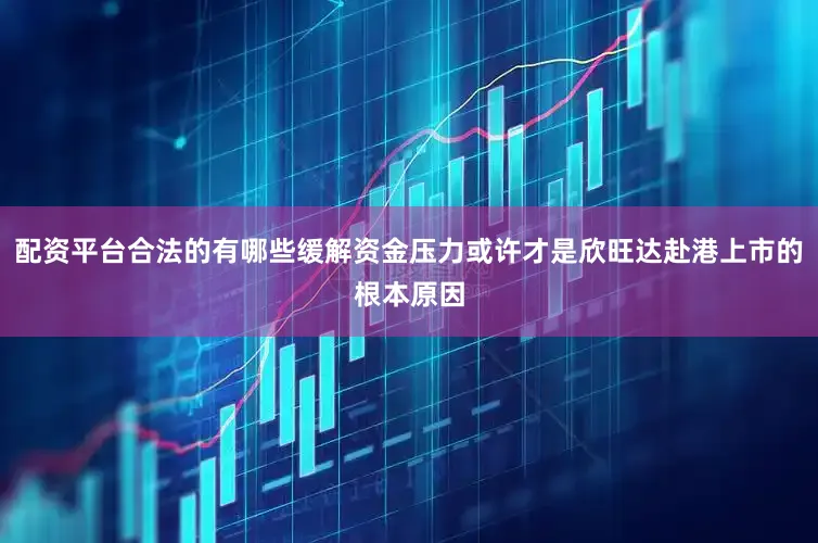 配资平台合法的有哪些缓解资金压力或许才是欣旺达赴港上市的根本原因